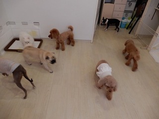 DSCN1313.jpg