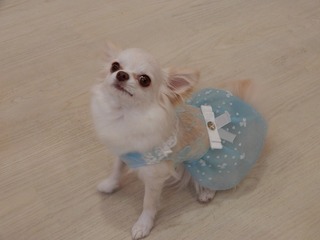 DSCN1419.jpg