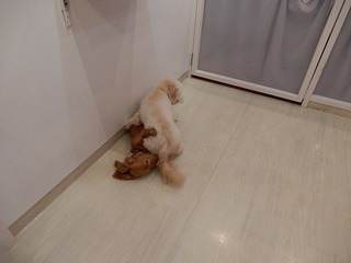 DSCN1423.jpg