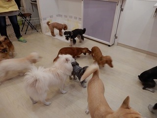 DSCN1440.jpg