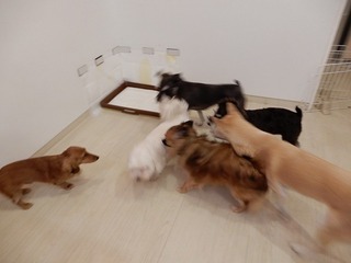 DSCN1445.jpg
