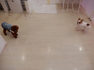 DSCN1546.jpg