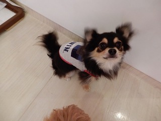 DSCN1548.jpg