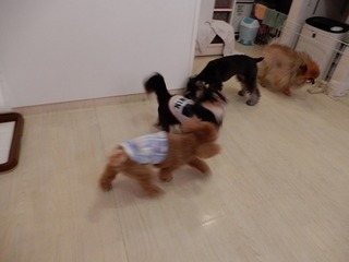 DSCN1552.jpg