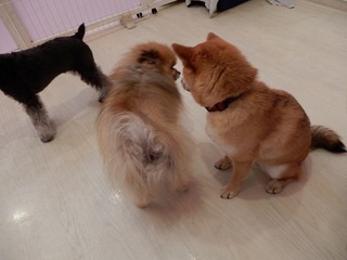 DSCN1561.jpg