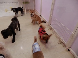 DSCN1569.jpg