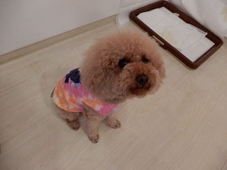 DSCN1580.jpg