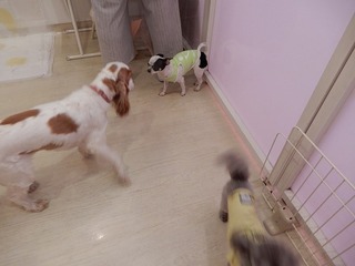 DSCN1615.jpg