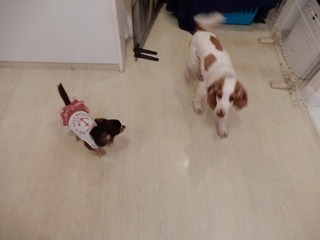 DSCN1618.jpg