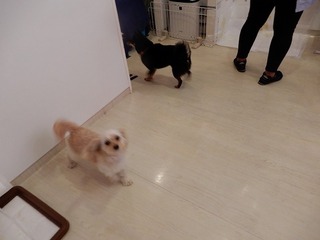 DSCN1630.jpg