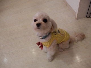 DSCN1692.jpg