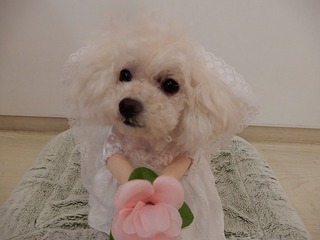DSCN1732.jpg