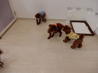 DSCN1758.jpg