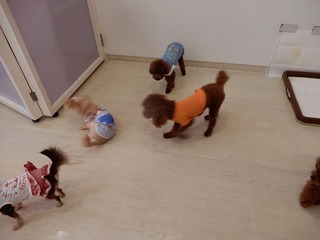 DSCN1759.jpg