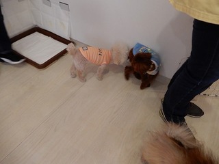 DSCN1765.jpg