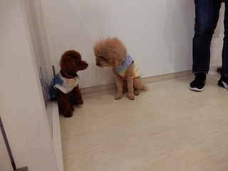 DSCN1788.jpg