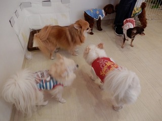 DSCN1838.jpg