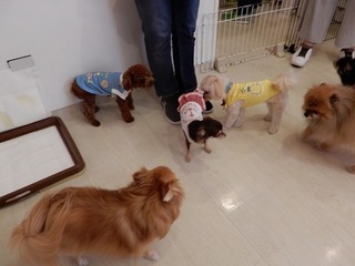 DSCN1840.jpg