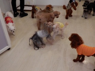 DSCN1909.jpg