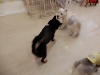 DSCN2045.jpg