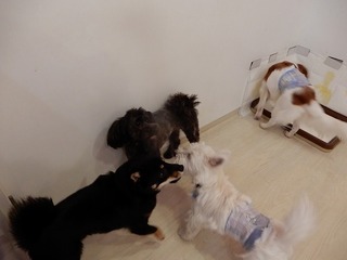 DSCN2052.jpg