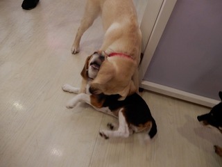DSCN2071.jpg