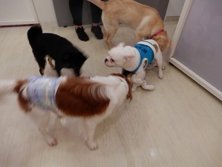 DSCN2083.jpg
