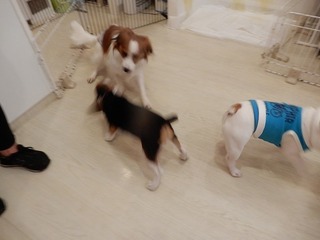 DSCN2103.jpg