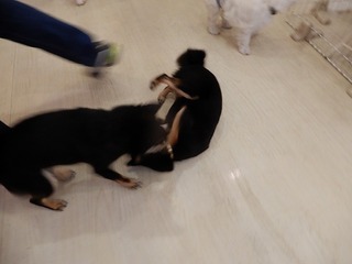 DSCN2120.jpg