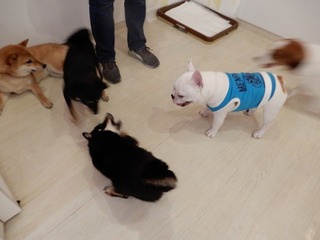 DSCN2122.jpg