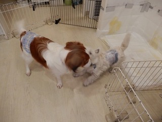 DSCN2127.jpg