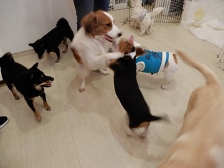 DSCN2136.jpg