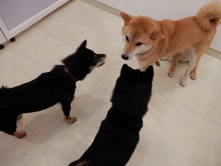 DSCN2186.jpg