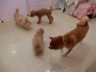 DSCN2205.jpg