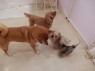 DSCN2213.jpg