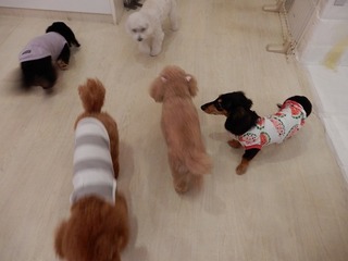 DSCN2253.jpg