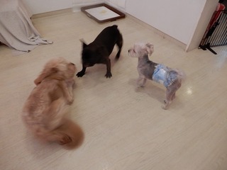 DSCN2268.jpg