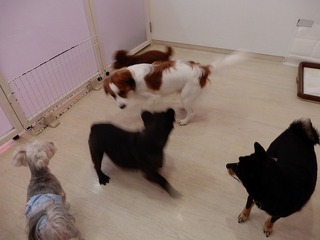 DSCN2309.jpg