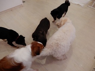DSCN2317.jpg