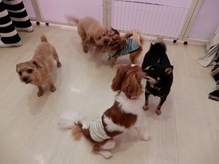 DSCN2345.jpg