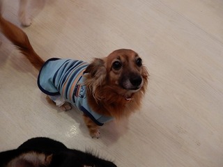 DSCN2355.jpg