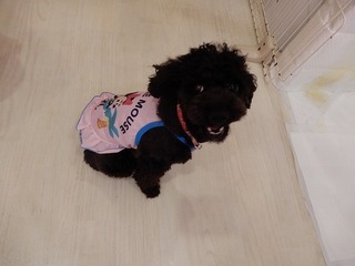 DSCN2358.jpg