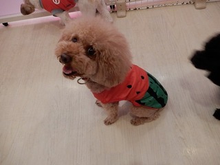 DSCN2359.jpg