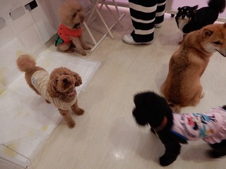 DSCN2374.jpg