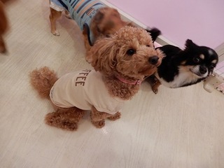 DSCN2378.jpg