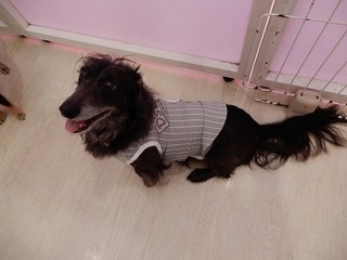 DSCN2400.jpg
