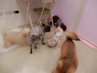 DSCN2425.jpg