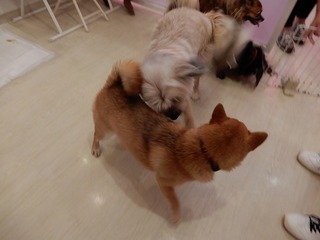 DSCN2440.jpg