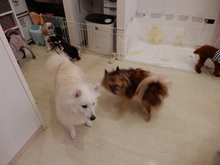 DSCN2447.jpg