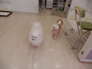 DSCN2457.jpg